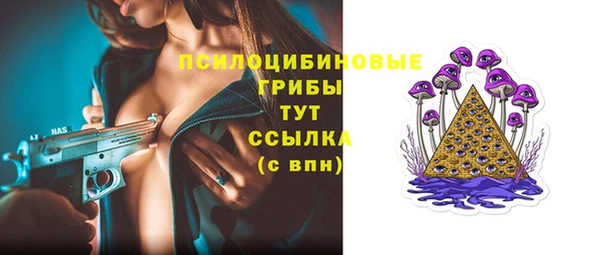 МДПВ Тайга