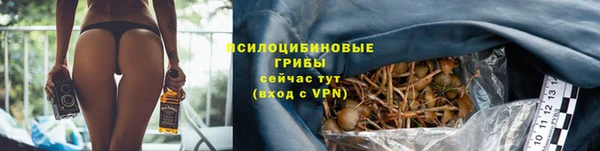 прущий лед Горняк